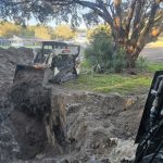 Lot Clearing in Tampa, Florida