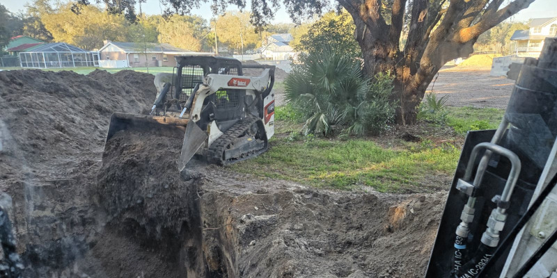 Lot Clearing in Carrollwood, Florida