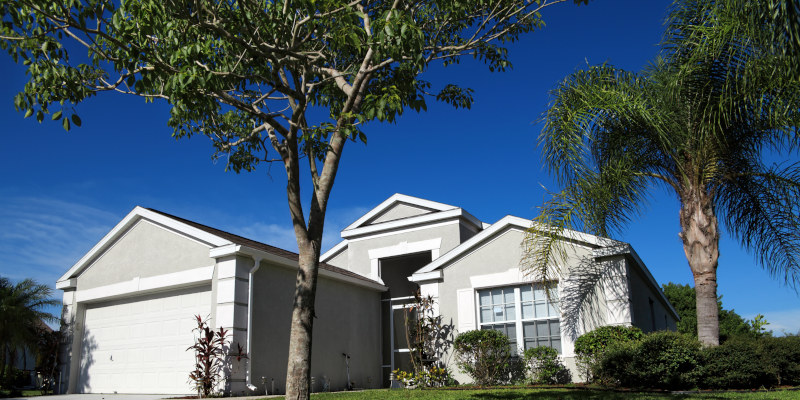 Tree Clearing in Tampa, Florida